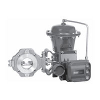 Emerson Fisher DVC6200 Manual De Instrucciones