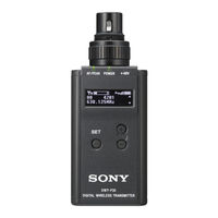 Sony DWT-P30 Manual De Instrucciones