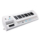 Roland Lucina AX-09