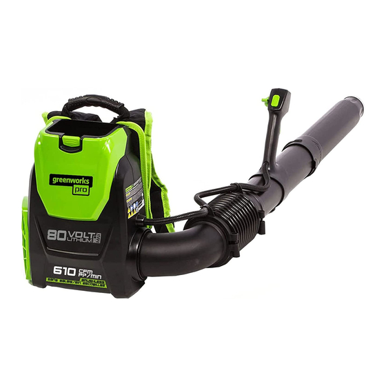 GreenWorks Pro BPB80L00 Manual Del Propietário