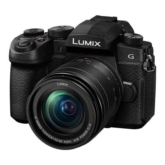 Panasonic Lumix DC-G95 Manuales