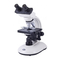 Microscopios Motic 18 LED Serie Manual De Instrucciones