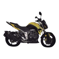 ITALIKA 250S1 Manual