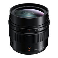 Panasonic Lumix H-X012E Manual Del Usuario