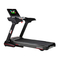 Dispositivos Electrónicos de Fitness BH G6178TFT Manual De Instrucciones