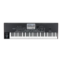Korg Pa3XLe Manual Del Usuario