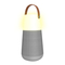 ION Bright Max