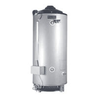 Calorex D100-270 CX Instructivo De Instalación, Operación Y Mantenimiento