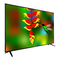 TV CONTINENTAL EDISON CELED65SA20B3 Manual De Instrucciones