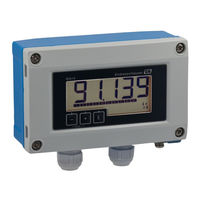 Endress+Hauser RIA15 Manual De Instrucciones Abreviado
