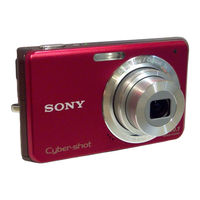 Sony DSC-W180 Manual De Instrucciones