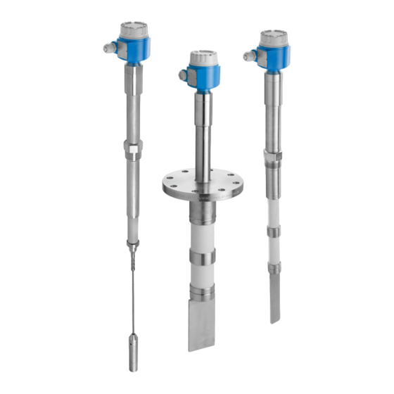 Endress+Hauser Solicap S FTI77 Instrucciones De Funcionamiento