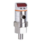 Instrumentos de Medición IFM Electronic efector300 SA3010 Instrucciones Operativas