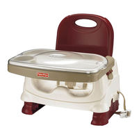 Fisher-Price P0278 Manual Del Usario