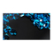 Samsung UD46D-P