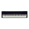 Yamaha P-60