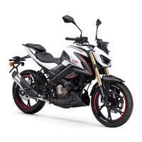 QJMOTOR SRK 125 S Manual Del Usuario