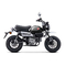 Honda Motor Z125MA