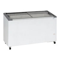 FRICON THG305GIBM1 Manual De Mantenimiento