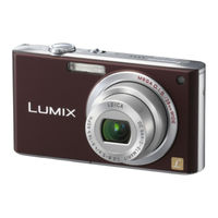 Panasonic Lumix DMC-FX33 Manual Del Usuario