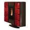 Chimeneas de Interior Extraflame ELISIR Manual De Instrucciones