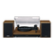 Lenco LS-100 - Manual del tocadiscos