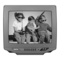 TV Sanyo DS13320 Manual Del Propietário