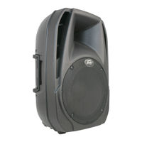Peavey PBK12P Instrucciones Importantes Para Su Seguridad