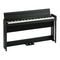 Korg C1