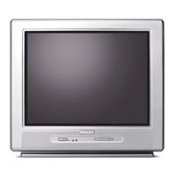 Philips 21PT5401 Manual Del Usuario