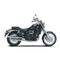 Motocicletas DAELIM DAYSTAR 250 Manual De Propietario