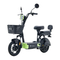 Scooters GREENLINE VMP S3 Manual De Uso