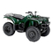 Yamaha BRUIN