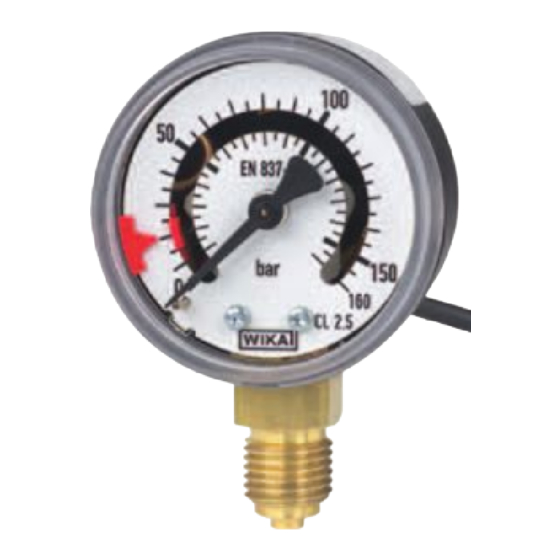 WIKA switchGauge PGS10 Manual De Instrucciones
