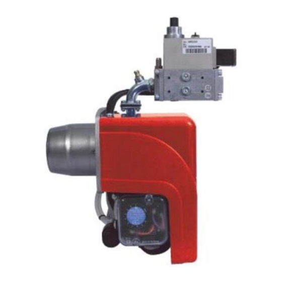 Ecoflam MAX GAS 105 P CV Manual De Uso