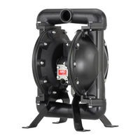 Ingersoll Rand ARO 66630A-X-C Informacion General