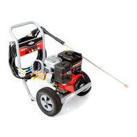 Briggs & Stratton BPW3200 Manual Del Operario