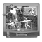 TV Sanyo AVM-3280G Manual Del Propietário