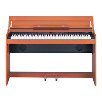 Roland DP-900 Manual Del Usuario