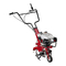 Equipos Agrícolas EINHELL GC-MT 1636/1 Manual De Instrucciones