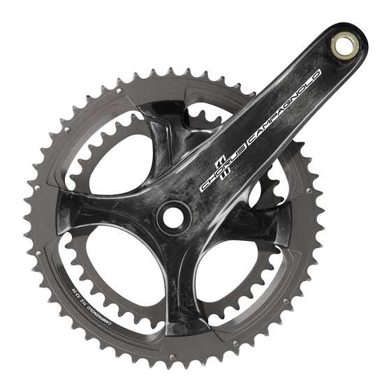 CAMPAGNOLO SPEED 11 Manual Del Usuario