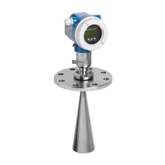 Endress+Hauser Micropilot M FMR250 Instrucciones De Funcionamiento