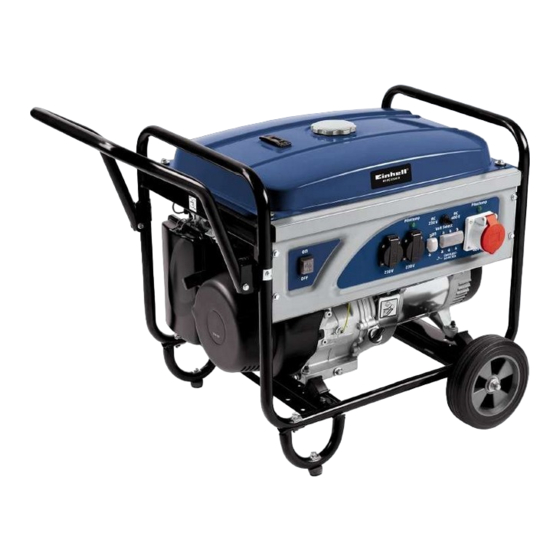 EINHELL BT-PG 5500 D Manual De Instrucciones Original