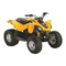 BRP can-am DS 90 2014