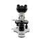Microscopios Optika B-180 Manual De Instrucciones