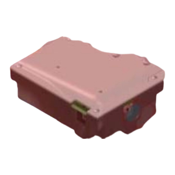Ecoflam MAX 1 Instrucciones Adicionales