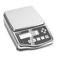 KERN and SOHN PWS 8000-1 Manual De Instrucciones