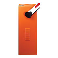 FAAC 620 SR Manual De Instrucciones