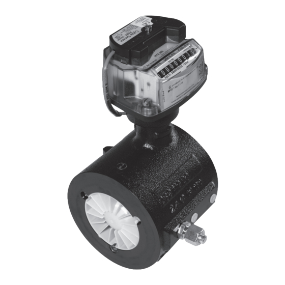 ITRON MZ Manual De Instrucciones