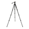 Celestron Regal